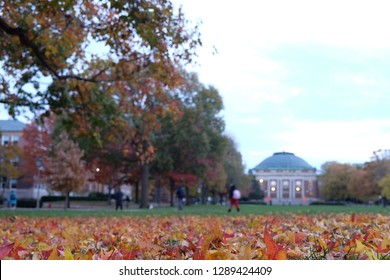 Main Quad - University Of Illinois