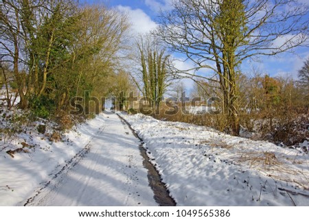 Similar – Foto Bild Rauhreif Winter Natur