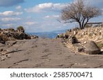 The main street of the ancient city of Sussita also called Hippos on a mountain in the Golan Heights in Israel.
