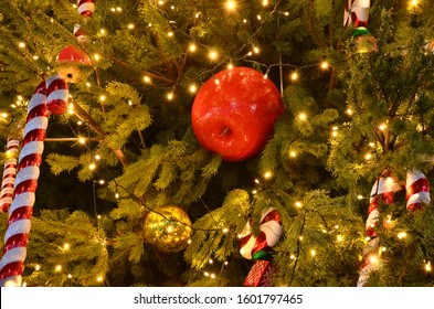 Main Street Christmas Tree In Kyiv