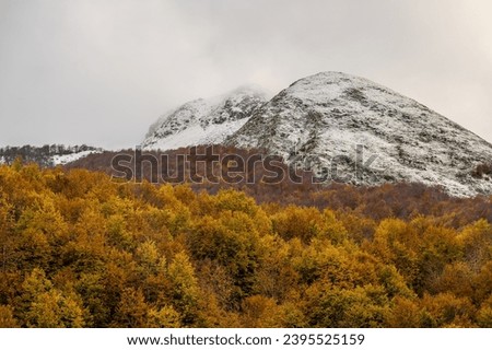The Mainarde mountain range extends along the border between Molise and Lazio, with prevalence in the Molise territory. It is a very rocky natural barrier with a rugged aspect
