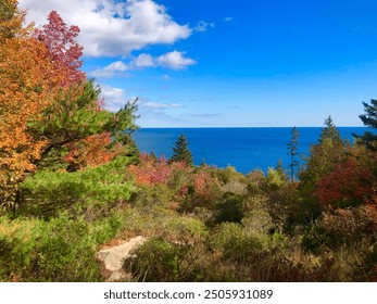 Maine. Acadia national park. Colorful fall leaves  - Powered by Shutterstock