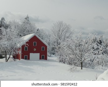 Maine Barn After A Heavy New England Snow Storm
