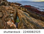 Maine coast low tide with layers of rocky coasts, mineral veins, and small tide pool