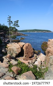 Maine Coast Rocks Oceans Trees