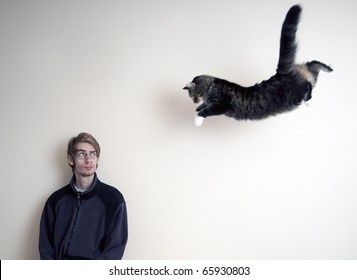 Maine Coon Kitty Cat Jumping In Mid Air To Pounce His Master.