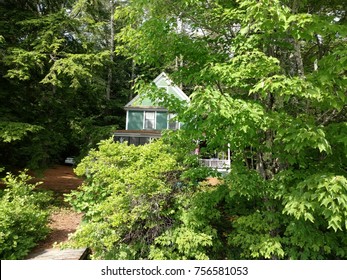 Maine Lake House Shrouded In Trees