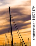 Mainmasts in the sunset