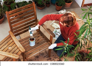 Maintaining an Outdoor Bench, Sanding and Painting - Powered by Shutterstock