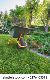 Maintenance Equipment On Cut Fresh Green Grass In A Clean Backyard Used For Gardening, Moving Plants, Vegetations, Dry Leaves And Branches. A Wheelbarrow On A Lawn In A Garden.