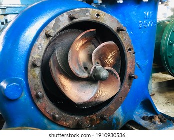 Maintenance Of Impeller Fan In Water Pump.