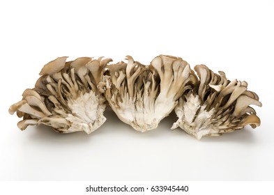 Maitake Mushrooms