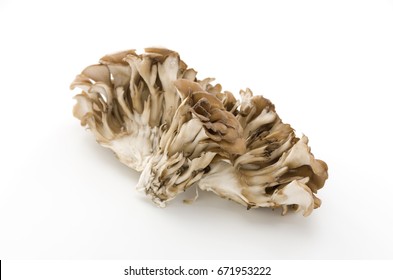 Maitake Mushrooms