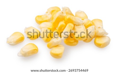 Maize cob or corn kernels isolated on white background. File contains clipping paths.