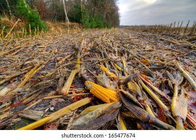 37,454 Agriculture waste Images, Stock Photos & Vectors | Shutterstock