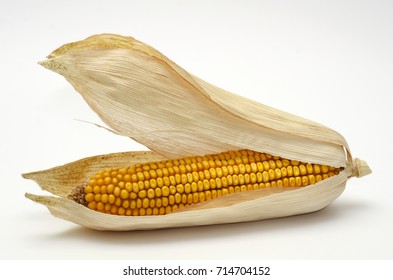 Maize Isolated On White Background