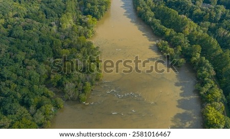 Similar – Image, Stock Photo Majestic tree along the tranquil Jungle riverbank