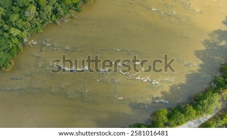 Similar – Image, Stock Photo Majestic tree along the tranquil Jungle riverbank