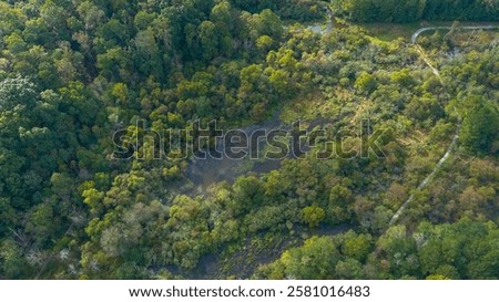 Similar – Image, Stock Photo Majestic tree along the tranquil Jungle riverbank