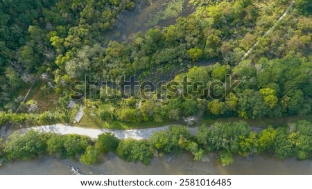Similar – Image, Stock Photo Majestic tree along the tranquil Jungle riverbank