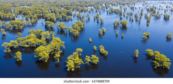 Majestic Atchafalaya river and swamp in Louisiana, aerial view