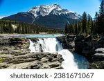 The majestic Athabasca Falls with a huge snow cap mountain and lush larch trees in the background