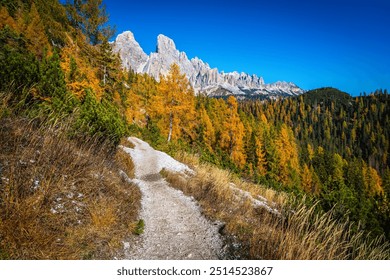 Majestic autumn alpine scenery with colorful redwood forest and wonderful yellow larch trees. Narrow hiking trail in the forest, Tre Croci mountain pass, Dolomites, Italy, Europe - Powered by Shutterstock