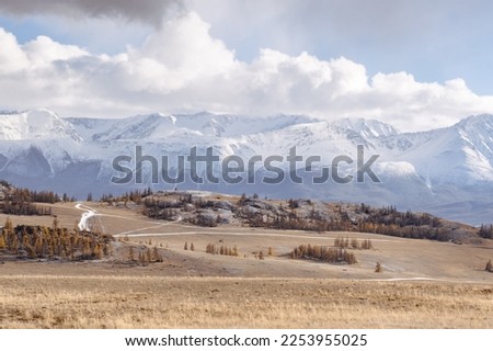 Majestic autumn mountain landscape. Valley with golden trees and white snowy mountains in the background, sunset in Kurai steppe, North-Chuya mountain range, Altai