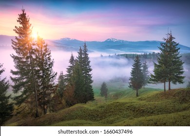 Majestic autumn scenery of foggy valley in carpathian mountains at early morning. Wild nature of Ukraine.