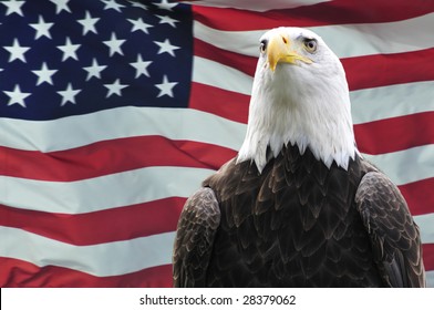 Majestic Bald Eagle Front Usa Flag Stock Photo 28379062 | Shutterstock