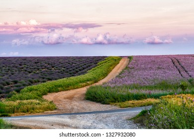 Majestic Colorful Fields Near Valensole Touristic Village, Provence Region, France, Europe. Rural Road Between Fields With Lavander And Sage. Sunset Landscape. Tourism Or Vacation Travel Concept.