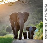 The majestic elephant strides down a village road with its two adorable baby elephants, set against a backdrop of stunning natural mountains, capturing a heartwarming and picturesque moment.