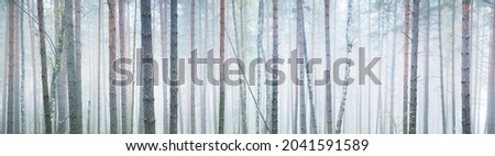 Similar – Image, Stock Photo atmospheric picture