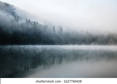 Majestic foggy morning in the wild forest by the lake. Misty nature background. - Powered by Shutterstock