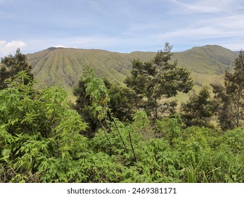 Majestic Hills View, Vibrant Grassland, Natural Beauty

 - Powered by Shutterstock