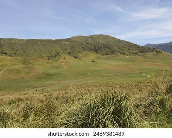 Majestic Hills View, Vibrant Grassland, Natural Beauty

 - Powered by Shutterstock