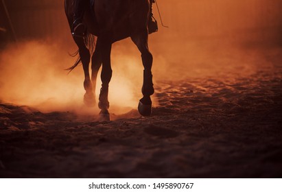 Majestic Image Of Horse Silhouette With Rider On Sunset Background.