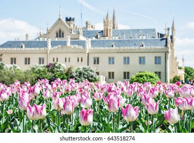 Majestic Lednice castle with flowering tulips, southern Moravia, Czech republic. Travel destination. Beautiful place.