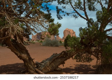 The majestic mittens of Monument Valley are framed by a died out desert tree. - Powered by Shutterstock