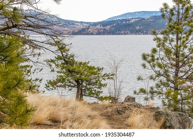 Majestic Mountain Lake In Canada. Okanagan Lake View In Winter.