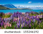 Majestic mountain lake with llupins blooming 