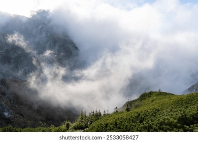 Majestic mountain landscape covered in dense fog with rocky cliffs and green pine shrubs on misty morning. Concept of natural beauty, serene wilderness, and outdoor adventure in untouched landscapes.  - Powered by Shutterstock