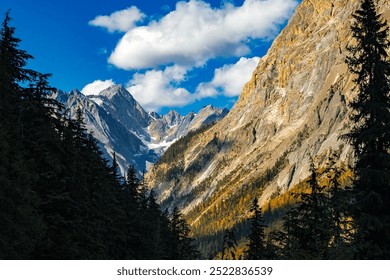 Majestic mountain peaks with snow and glaciers are towering above a valley of pine trees and larches with golden autumn foliage - Powered by Shutterstock