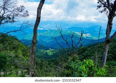 Majestic mountain range lush green valley nature photography serene landscape wide angle natural beauty exploration - Powered by Shutterstock