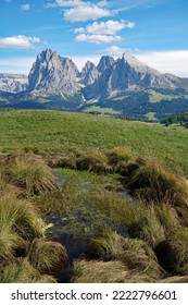 majestic mountain view in the dolomites: beautiful and famous alp di siusi and distinctive sassolungo mountain group at gardena valley in south tyrol. - Shutterstock ID 2222796601