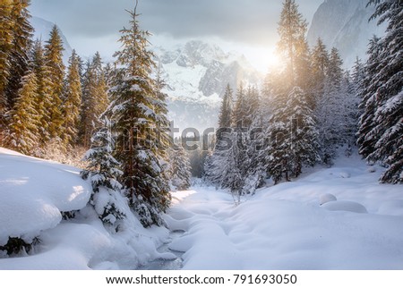 Majestic Mountain Winter Landscape. Breathtaking Alpine Highlands in Sunny Day. impressively beautiful Winter Forest under Sunlight. Inscredible Wintry Scene.  Picture of wild area. Postcard