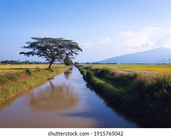 The Majestic Mt. Jerai From Kampung Padang Lumat, Yan, Kedah, Malaysia