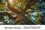 Majestic old oak tree with textured bark and sprawling branches, bathed in sunlight filtering through lush green leaves.