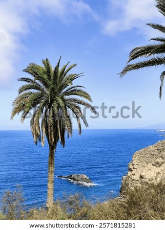 Similar – Image, Stock Photo Majestic cliffs at Playa de las Catedrales beach in Spain