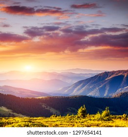 Majestic panorama of green mountains with sunny beams. Location place Carpathian mountain, Ukraine, Europe. Scenic image of National Park and natural reserve. Discover the beauty of earth. - Shutterstock ID 1297654141